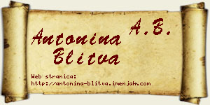Antonina Blitva vizit kartica